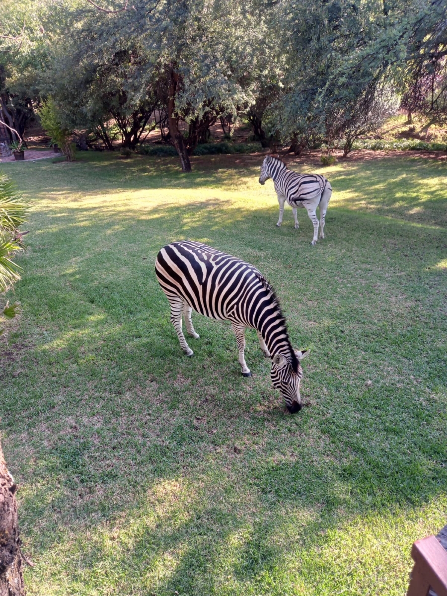 To Let 1 Bedroom Property for Rent in Boschenvaal River Front Lodges Free State